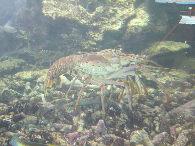 Bild 696