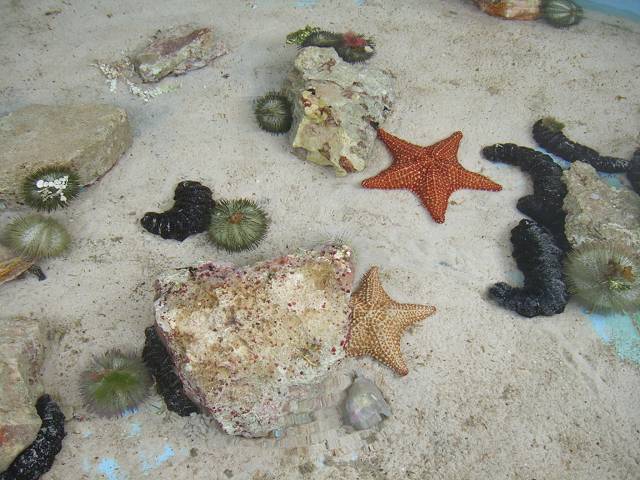 Bild 696