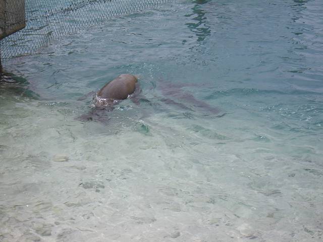 Bild 696