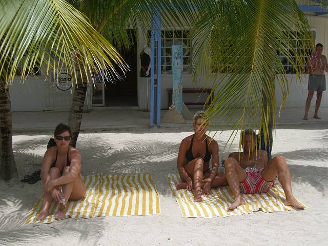 Bild 696