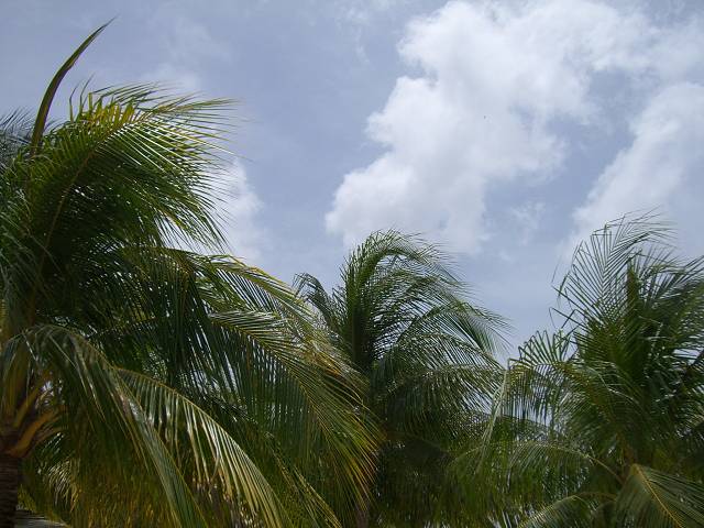 Bild 696