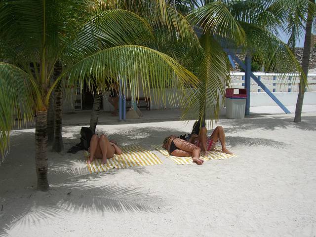Bild 696