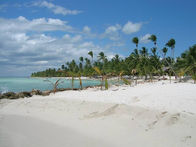 Bild 696