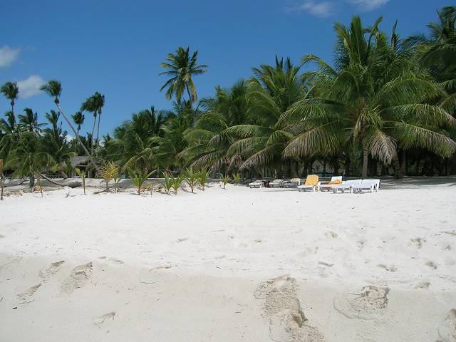 Bild 696