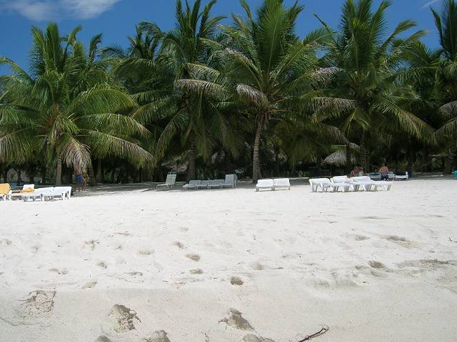 Bild 696