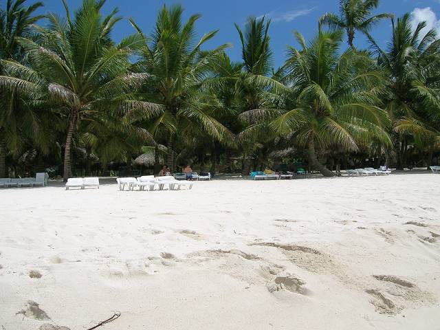 Bild 696