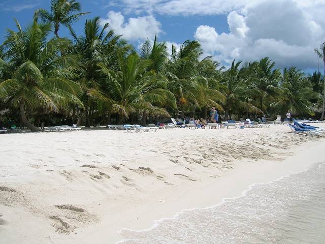 Bild 696
