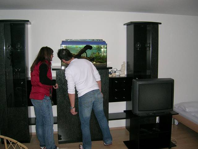 Bild 696