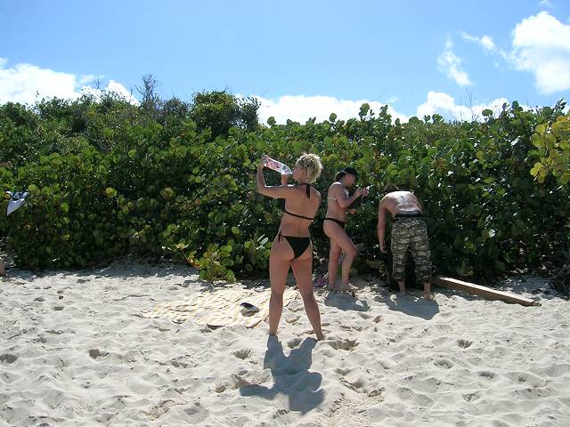 Bild 696