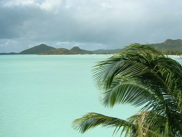 Bild 696