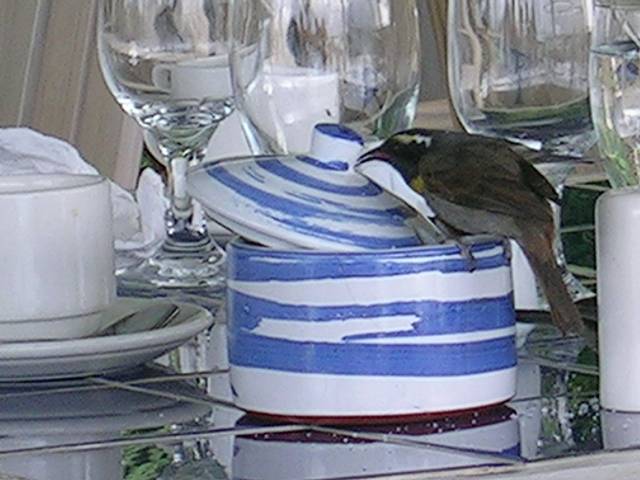 Bild 696