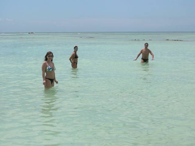 Bild 696