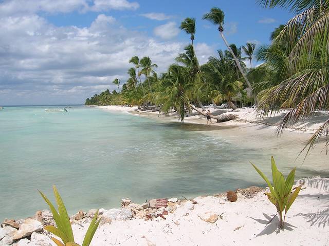 Bild 696