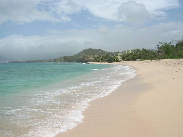 Bild 696