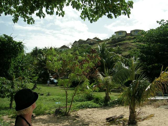 Bild 696