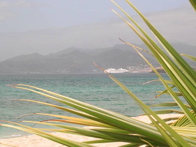 Bild 696