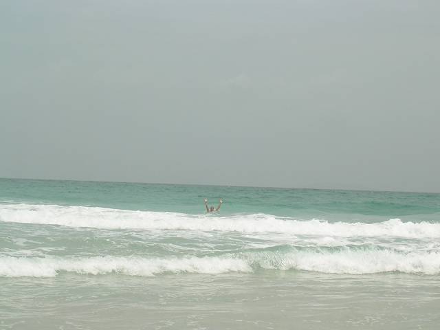 Bild 696