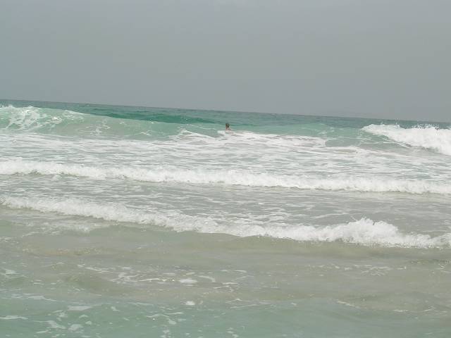 Bild 696