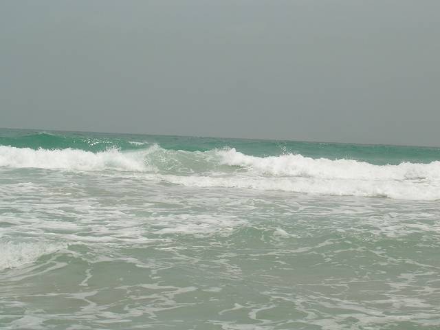 Bild 696