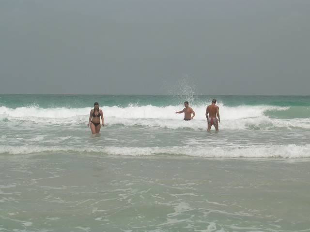 Bild 696