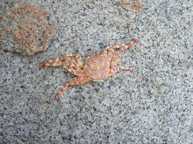 Bild 696