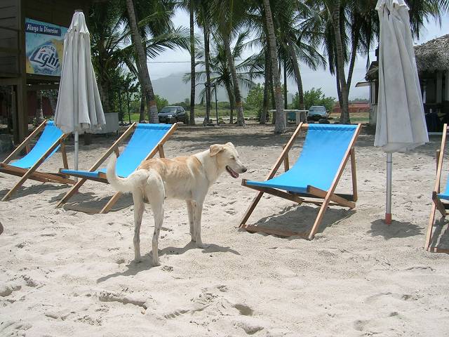 Bild 696