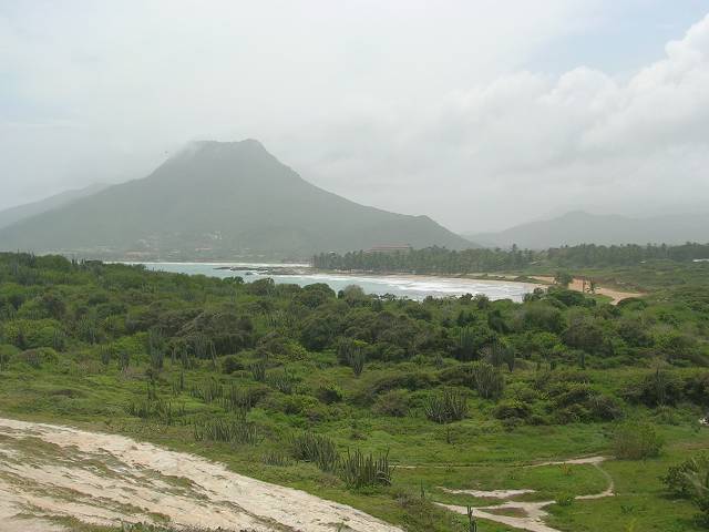 Bild 696