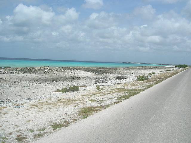 Bild 696