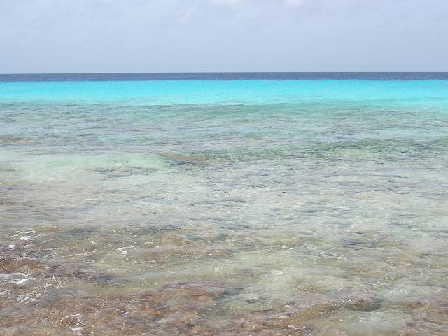 Bild 696