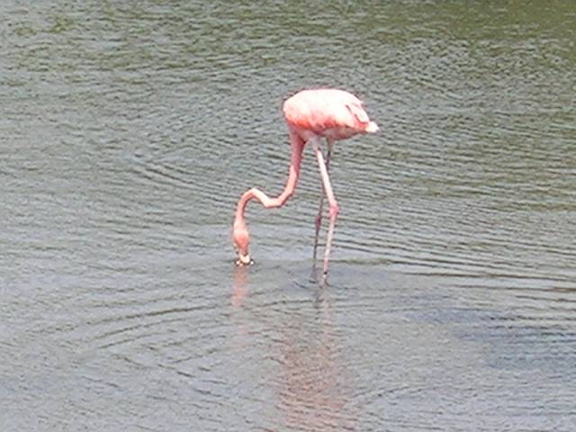 Bild 696
