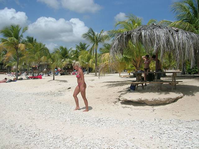 Bild 696
