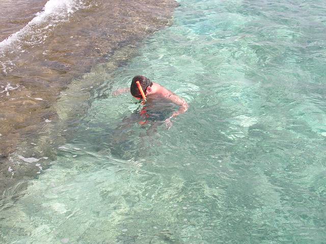 Bild 696