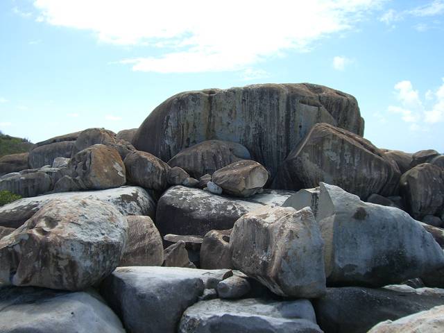 Bild 696