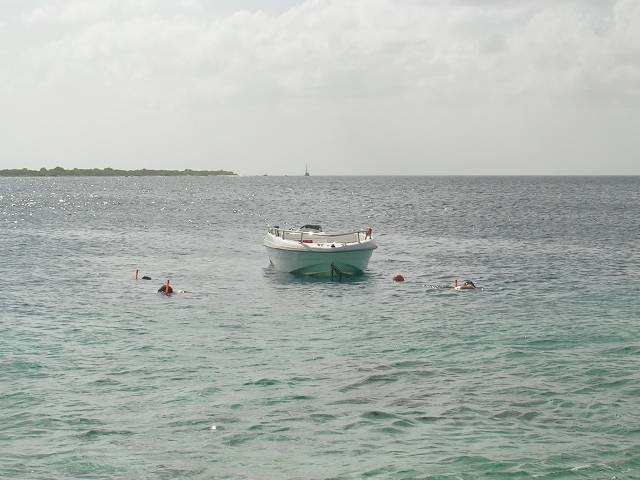 Bild 696