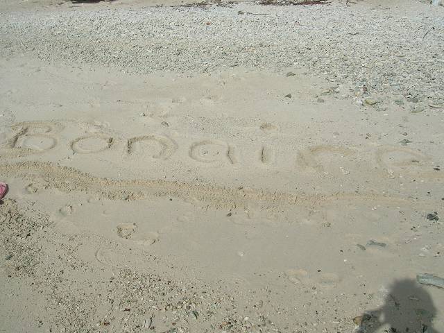 Bild 696