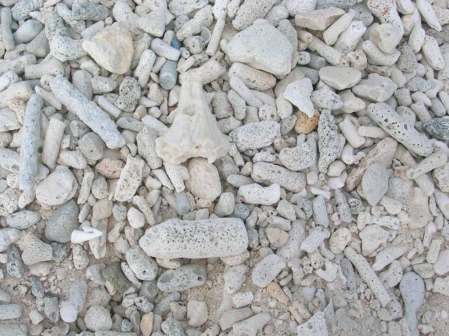 Bild 696