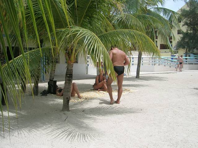 Bild 696