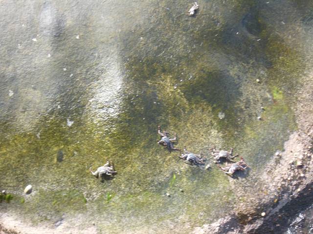 Bild 696