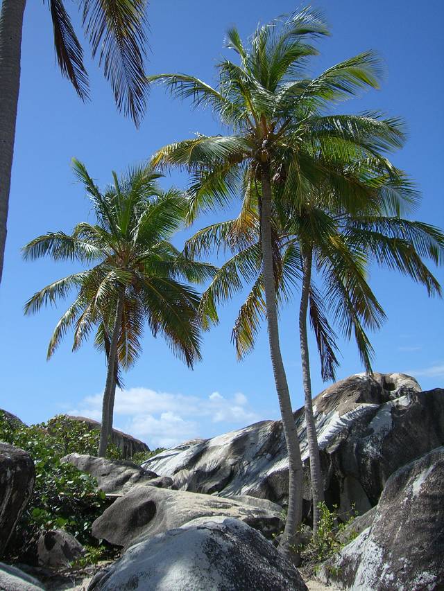 Bild 696