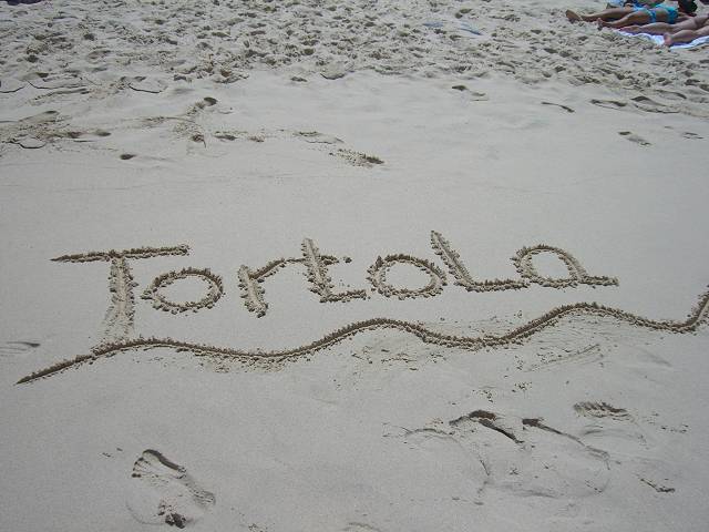 Bild 696