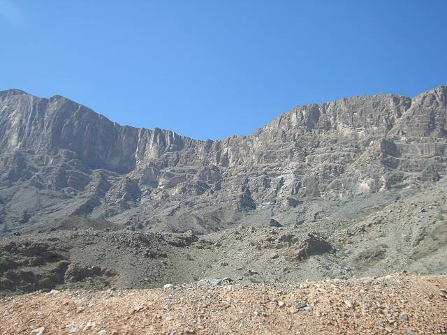 Bild 264