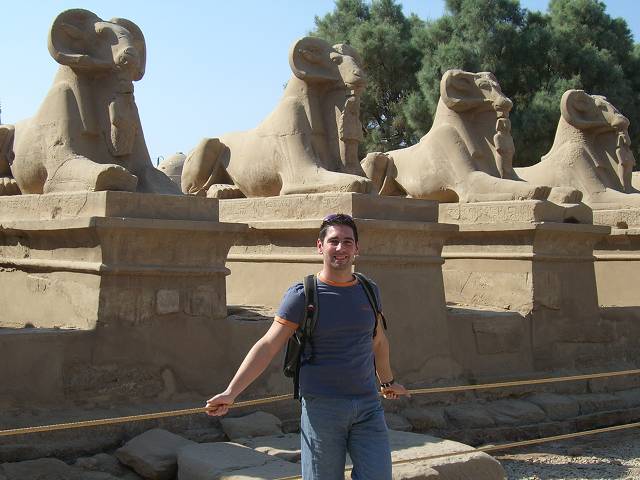 Bild 264