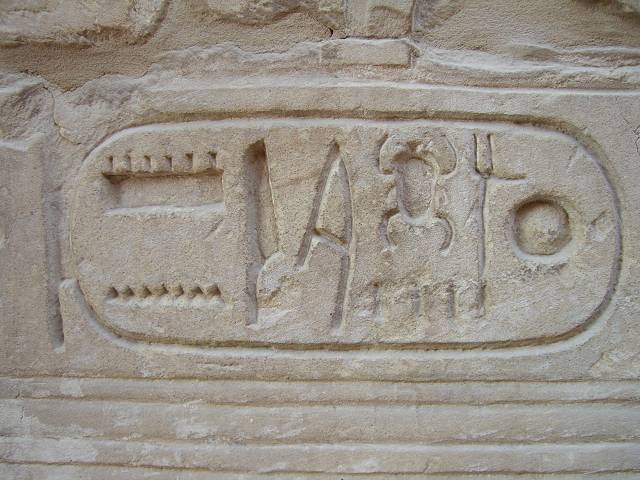 Bild 264