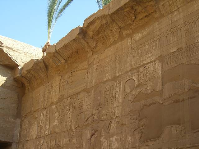 Bild 264