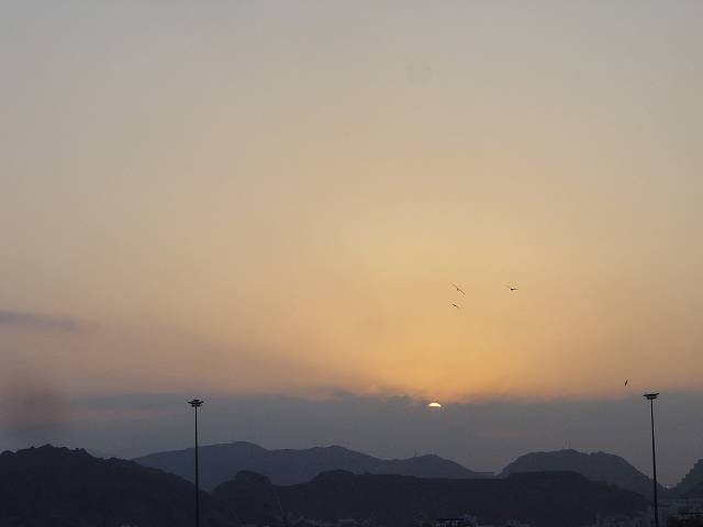 Bild 264