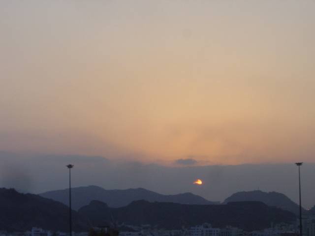 Bild 264