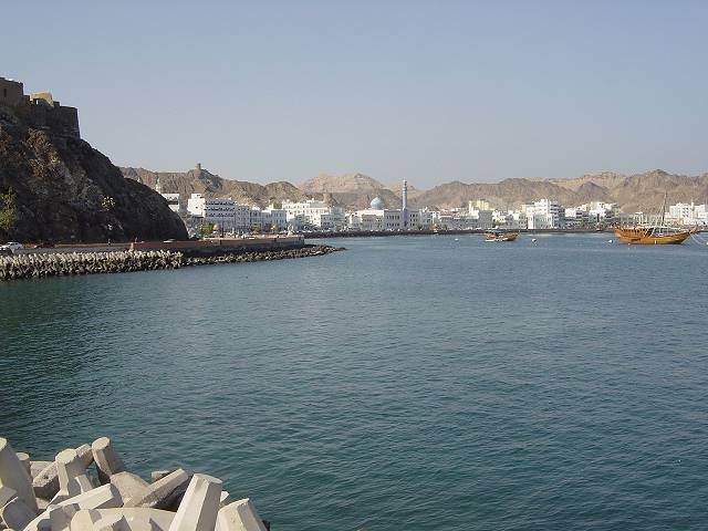 Bild 264