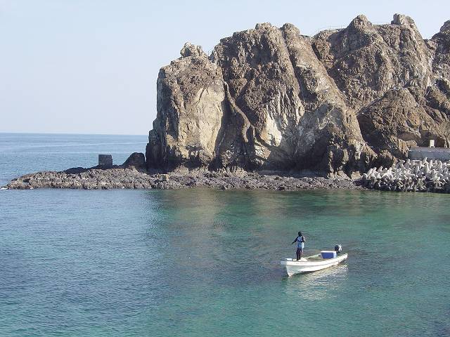 Bild 264
