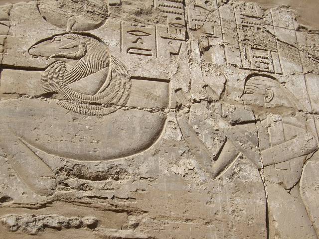 Bild 264