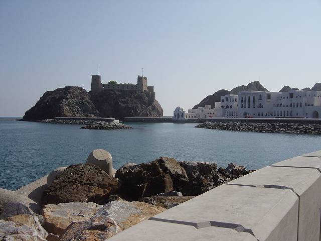 Bild 264